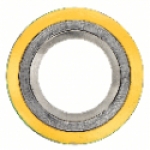Flexitallic&reg; G6-3G44CX-016-4