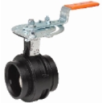 Victaulic® 300-2-1/2 No GSKT