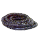 Zoeller® 1010-0117 10240403