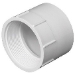 Charlotte Pipe PVC 101-8 10233596