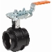 Victaulic® 300-2 10239638